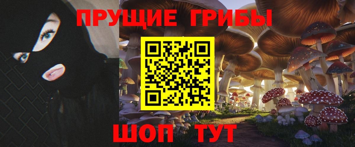 Саранск  Галлюциногенные грибы GOLDEN TEACHER  Галлюциногенные грибы ЛСД  Вход с VPN 
